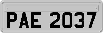 PAE2037