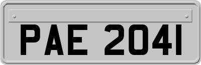 PAE2041