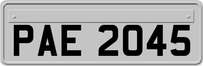 PAE2045