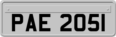 PAE2051