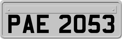 PAE2053