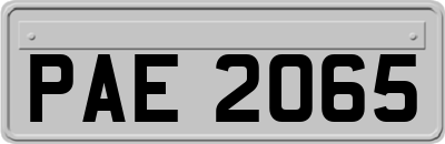 PAE2065