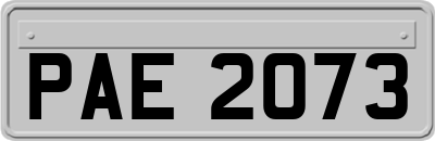 PAE2073