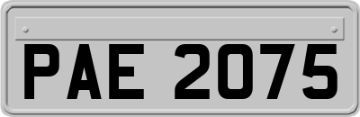 PAE2075
