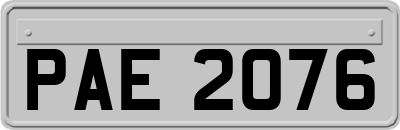 PAE2076