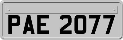 PAE2077