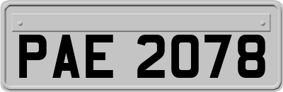 PAE2078