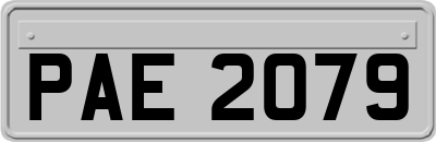 PAE2079