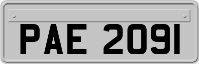 PAE2091