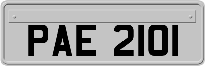 PAE2101