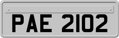 PAE2102