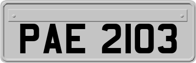 PAE2103