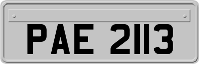 PAE2113