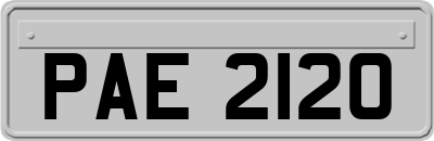 PAE2120