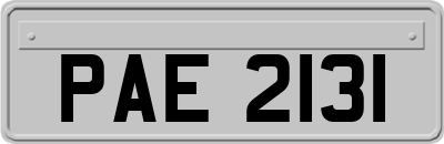 PAE2131