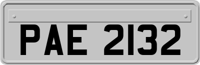 PAE2132
