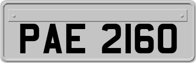 PAE2160
