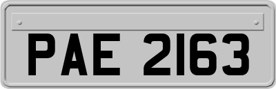 PAE2163