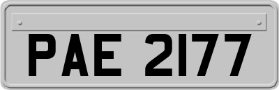 PAE2177