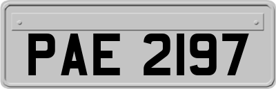 PAE2197