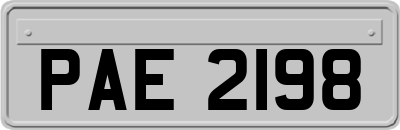 PAE2198
