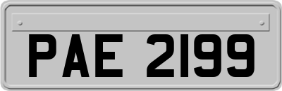 PAE2199