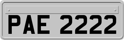 PAE2222