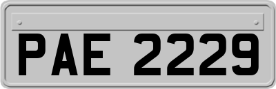 PAE2229