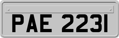 PAE2231