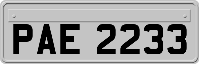 PAE2233