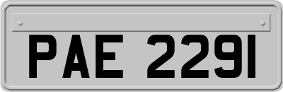 PAE2291