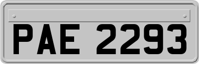 PAE2293