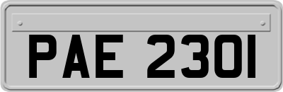 PAE2301