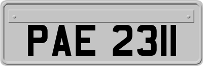 PAE2311