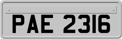 PAE2316