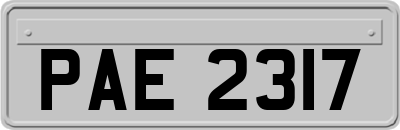 PAE2317