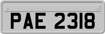 PAE2318