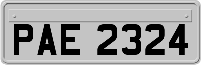 PAE2324