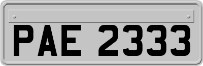 PAE2333