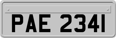 PAE2341