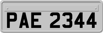 PAE2344