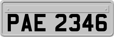 PAE2346