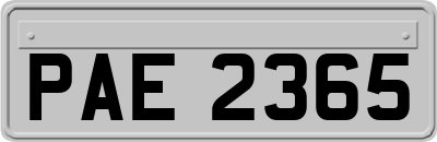 PAE2365