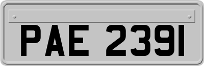 PAE2391