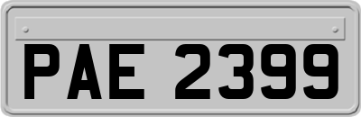 PAE2399