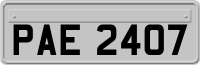 PAE2407