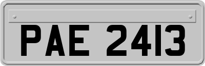 PAE2413