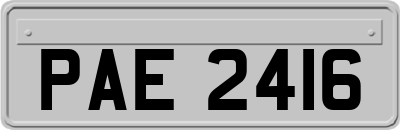 PAE2416
