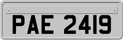 PAE2419