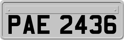 PAE2436